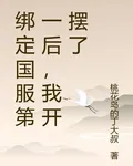 綁定國服第一後，我開擺了 封面