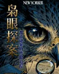 梟眼探案 封面
