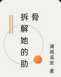 拆解她的肋骨 封面