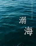 溺朝海 封面