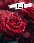 【三】 封面