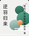 逆羽歸來 封面