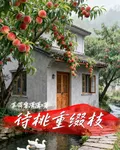 待桃重綴枝 封面