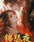 錦瑟夜 封面