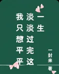 我只想平平淡淡過完這一生 封面