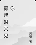 霧起時又見你 封面