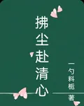 拂塵赴清心 封面