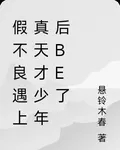 假不良遇上真天才少年後be了 封面