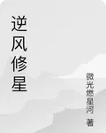 逆風修星 封面
