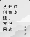 從創建羅網開始，浪跡江湖 封面
