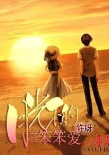 月光下的笨笨愛 封面