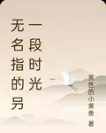 無名指的叧一段時光 封面