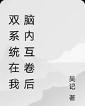 雙系統在我腦內互卷後 封面