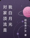 對家頂流是我白月光 封面