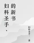婦科聖手丶的新書 封面