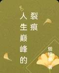 人生巔峯的裂痕 封面
