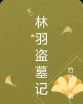 林羽盜墓記 封面
