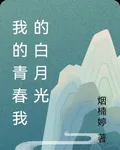 我的青春我的白月光 封面