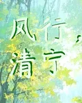 風行，清寧 封面