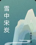 雪中宋炭 封面