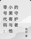 零號代碼：小黑客與他的守護者 封面