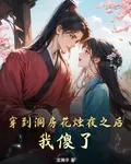 穿到洞房花燭夜之後，我傻了 封面