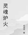 靈魂爐火 封面