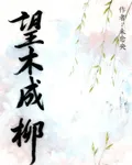 望木成柳 封面