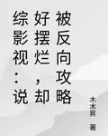 綜影視：說好擺爛，卻被反向攻略 封面