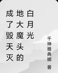 成了毀天滅地大魔頭的白月光 封面