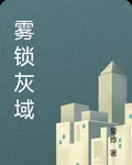 霧鎖灰域 封面