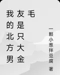 我的北方男友是隻大金毛 封面