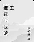 誰在叫我暗主 封面