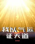 我以氣運證天道 封面
