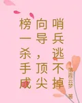 榜一殺手成嚮導，頂尖哨兵逃不掉 封面