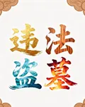 違法盜墓 封面