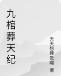 九棺葬天紀 封面