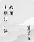 山煙起，待驟雨 封面