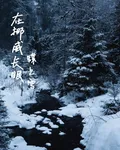 在挪威長眠 封面