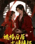 逃婚後居士請接招 封面