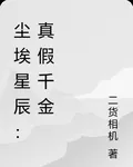 塵埃星辰：真假千金 封面