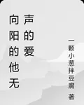 向陽的他無聲的愛 封面