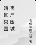 暗區突圍：喪屍圍城 封面