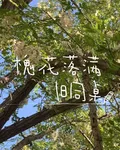 槐花落滿舊同桌 封面