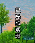 星光照紫珊 封面