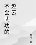 不會武功的趙雲 封面