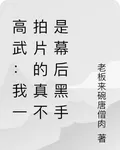 高武：我一拍片的真不是幕後黑手 封面