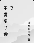 不需要了你了 封面