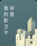 我的影衛不好惹 封面