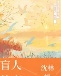 盲人故事 封面